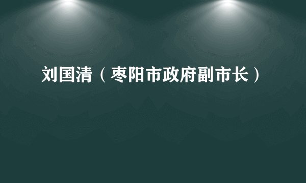 刘国清（枣阳市政府副市长）