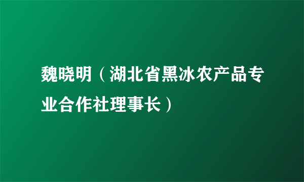 魏晓明（湖北省黑冰农产品专业合作社理事长）