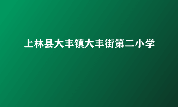 什么是上林县大丰镇大丰街第二小学