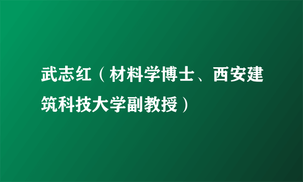 武志红（材料学博士、西安建筑科技大学副教授）