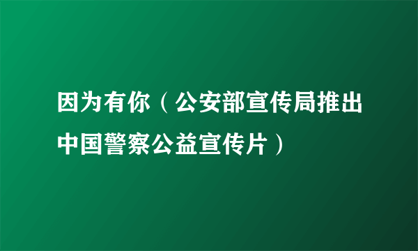 因为有你（公安部宣传局推出中国警察公益宣传片）