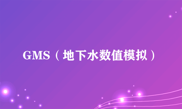 GMS（地下水数值模拟）