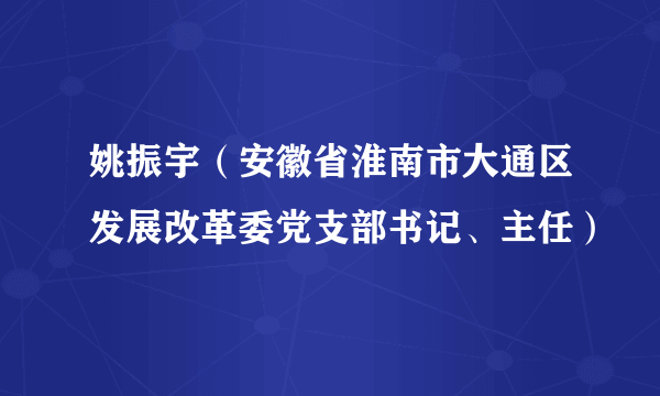 姚振宇（安徽省淮南市大通区发展改革委党支部书记、主任）