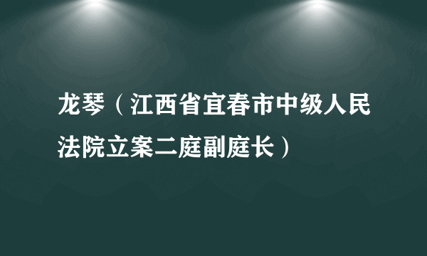 什么是龙琴（江西省宜春市中级人民法院立案二庭副庭长）