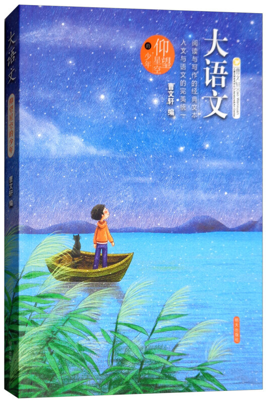 大语文：仰望星空的少年（定制版）