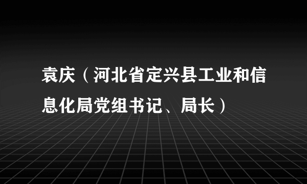 袁庆（河北省定兴县工业和信息化局党组书记、局长）