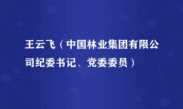 王云飞（中国林业集团有限公司纪委书记、党委委员）