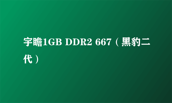 宇瞻1GB DDR2 667（黑豹二代）