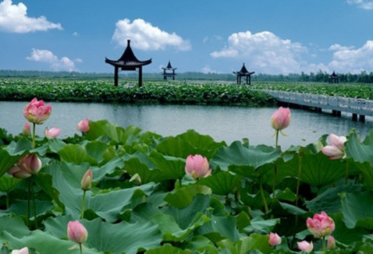 荷花荡水利风景区