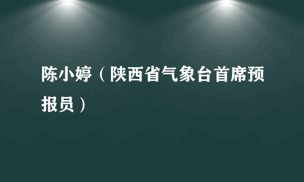 陈小婷（陕西省气象台首席预报员）