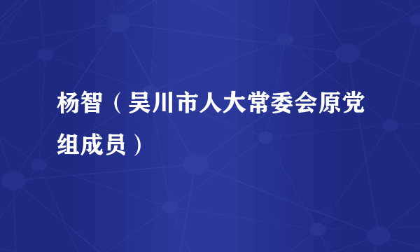 杨智（吴川市人大常委会原党组成员）