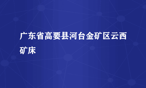 什么是广东省高要县河台金矿区云西矿床