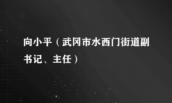 向小平（武冈市水西门街道副书记、主任）