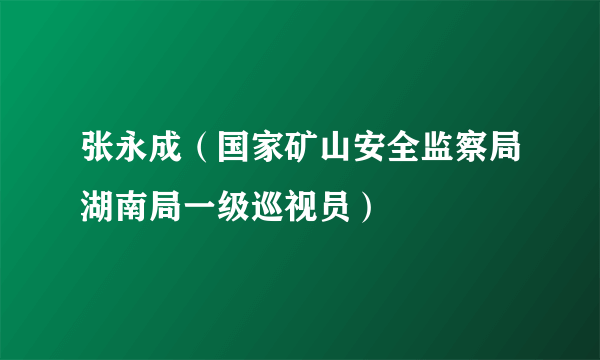 张永成（国家矿山安全监察局湖南局一级巡视员）