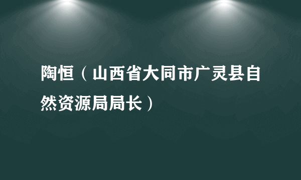 陶恒（山西省大同市广灵县自然资源局局长）