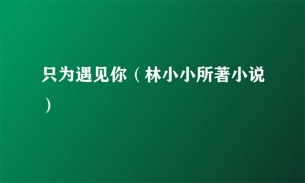 只为遇见你（林小小所著小说）