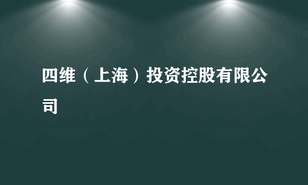 什么是四维（上海）投资控股有限公司