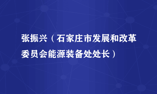 张振兴（石家庄市发展和改革委员会能源装备处处长）