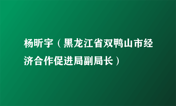 杨昕宇（黑龙江省双鸭山市经济合作促进局副局长）