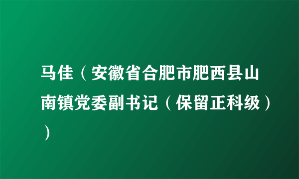 马佳（安徽省合肥市肥西县山南镇党委副书记（保留正科级））