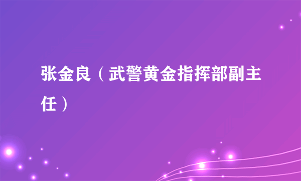 什么是张金良（武警黄金指挥部副主任）