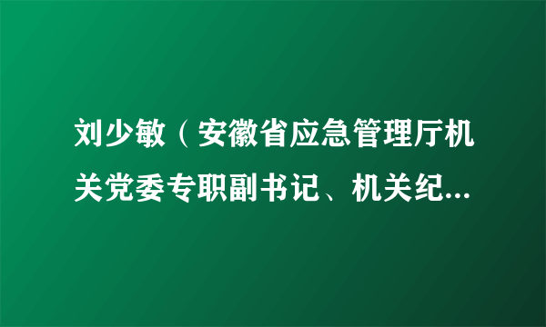 刘少敏（安徽省应急管理厅机关党委专职副书记、机关纪委书记）