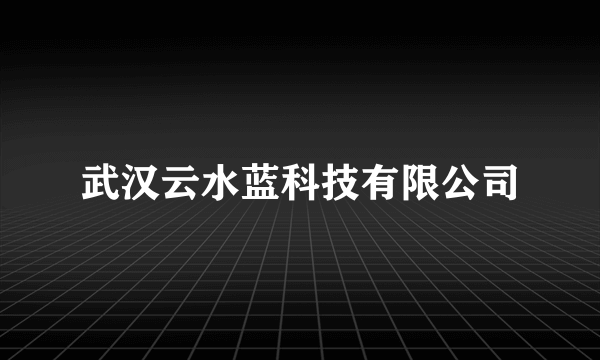 武汉云水蓝科技有限公司