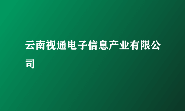 云南视通电子信息产业有限公司