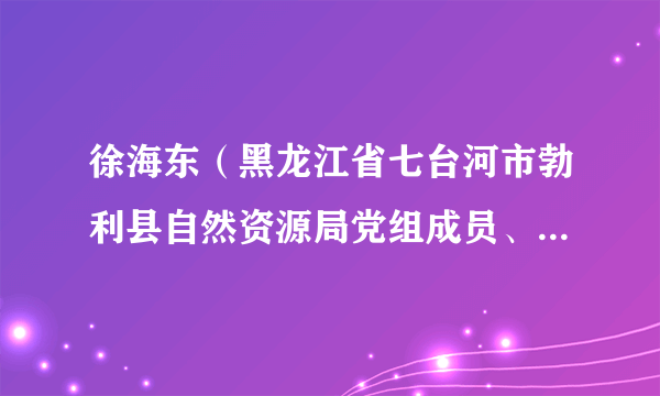 徐海东（黑龙江省七台河市勃利县自然资源局党组成员、自然资源与城乡规划中心主任）