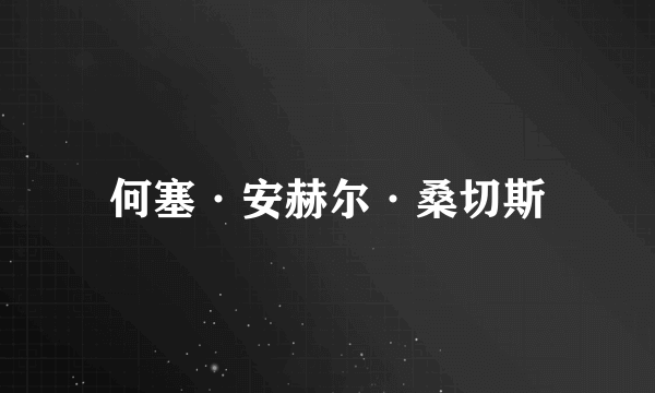 何塞·安赫尔·桑切斯