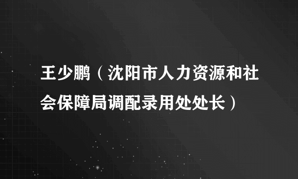 王少鹏（沈阳市人力资源和社会保障局调配录用处处长）