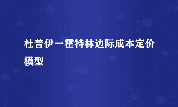 什么是杜普伊一霍特林边际成本定价模型