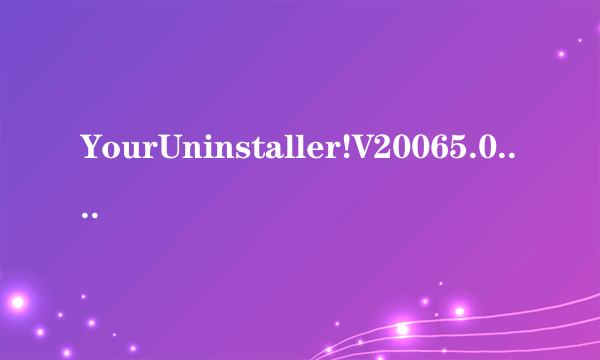 YourUninstaller!V20065.0.0.358汉化版