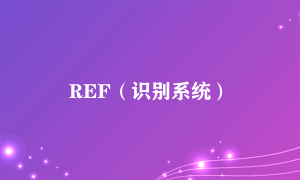 REF（识别系统）