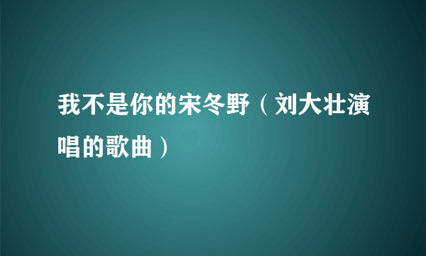 我不是你的宋冬野（刘大壮演唱的歌曲）