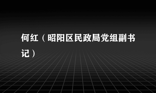 什么是何红（昭阳区民政局党组副书记）