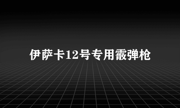 伊萨卡12号专用霰弹枪