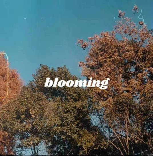 Blooming（卡莉Cali演唱歌曲）