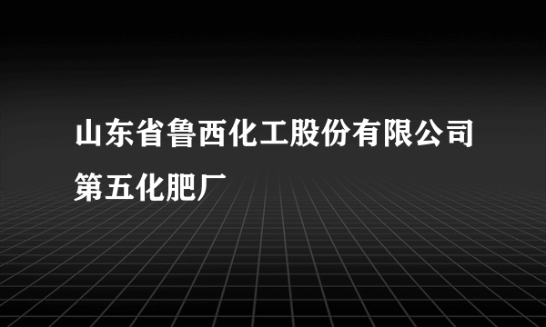 山东省鲁西化工股份有限公司第五化肥厂