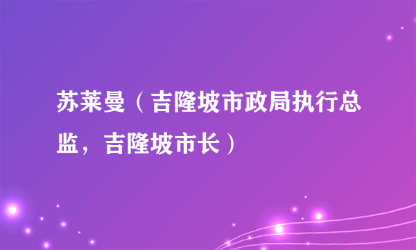 什么是苏莱曼（吉隆坡市政局执行总监，吉隆坡市长）