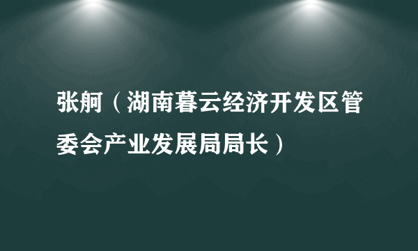 张舸（湖南暮云经济开发区管委会产业发展局局长）