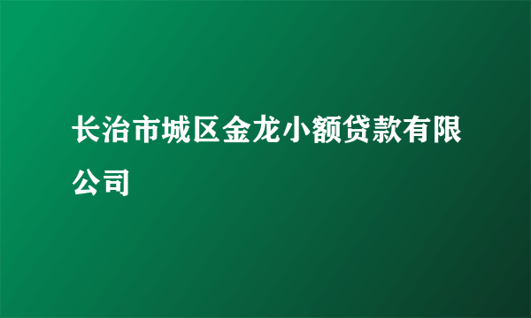 长治市城区金龙小额贷款有限公司