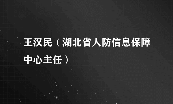 什么是王汉民（湖北省人防信息保障中心主任）