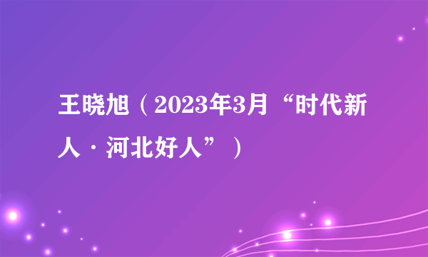 王晓旭（2023年3月“时代新人·河北好人”）