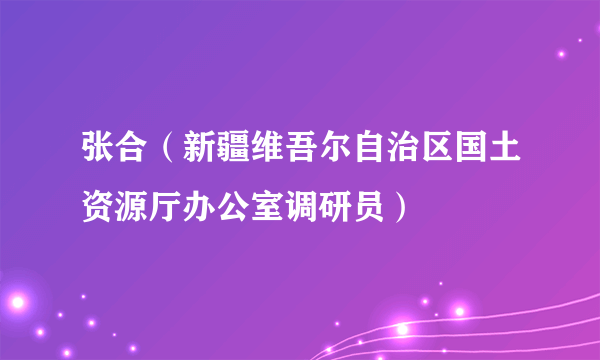 张合（新疆维吾尔自治区国土资源厅办公室调研员）