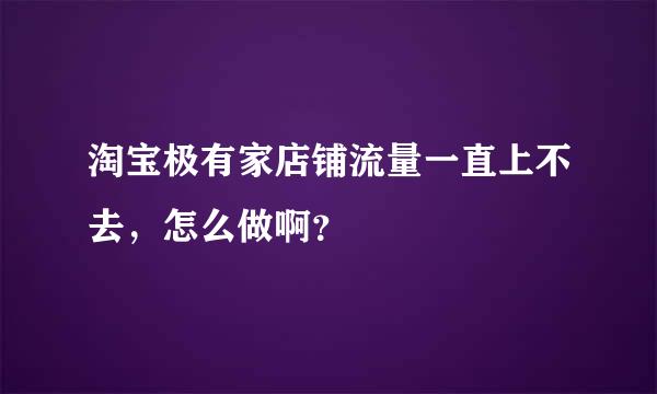 淘宝极有家店铺流量一直上不去，怎么做啊？