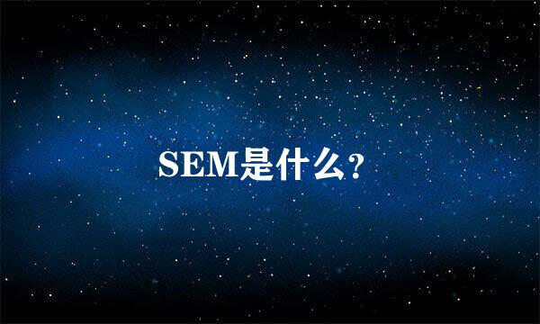 SEM是什么？