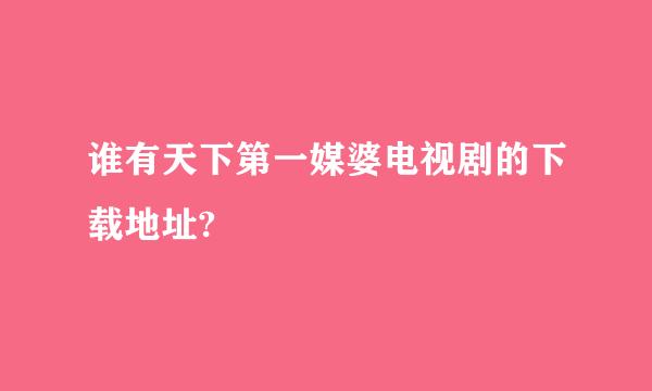 谁有天下第一媒婆电视剧的下载地址?