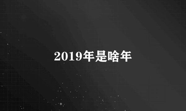 2019年是啥年