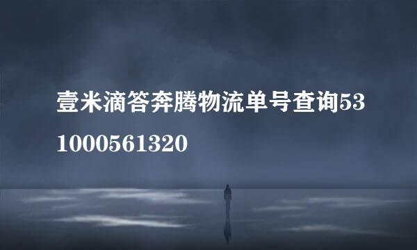 壹米滴答奔腾物流单号查询531000561320